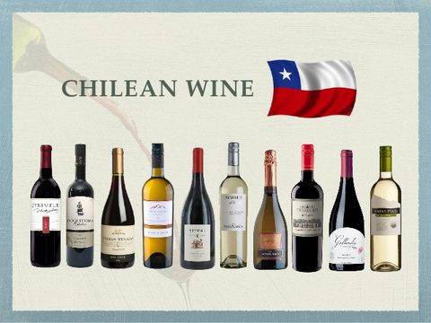 Khám phá những điều cần biết về rượu vang Chile