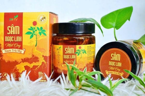 Sâm ngọc linh mua ở đâu? trà sâm ngọc linh nam trà my