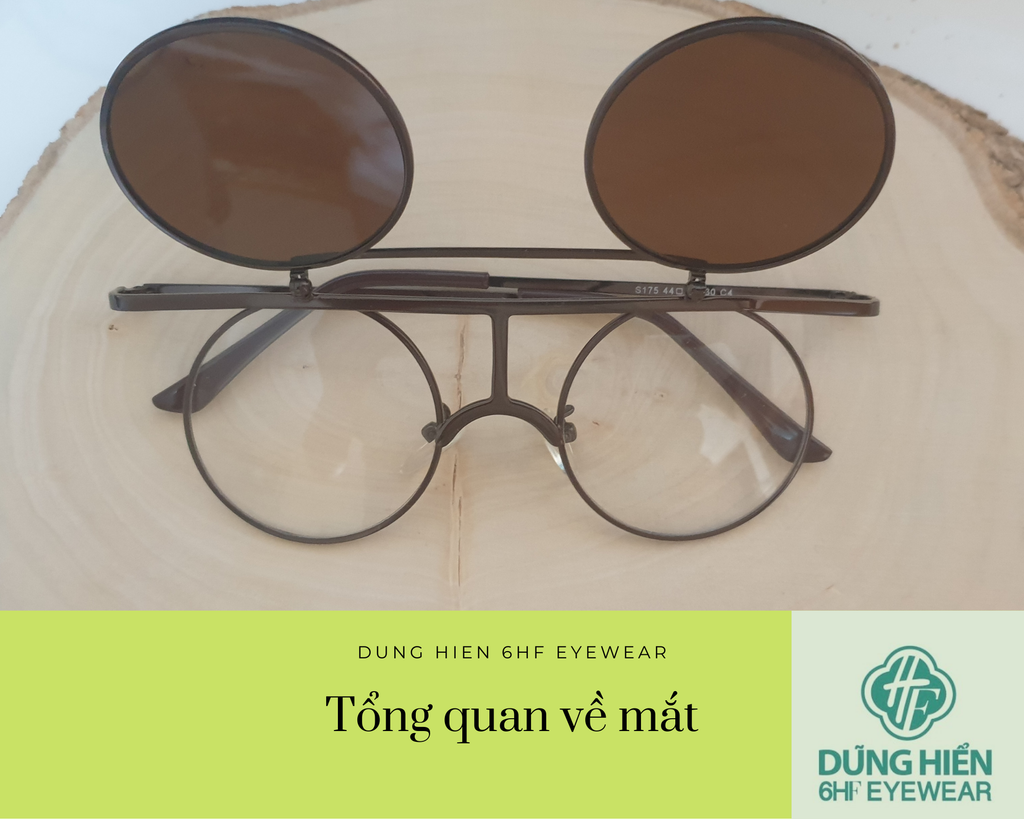 Vấn đề về mắt mà mọi người hay gặp phải