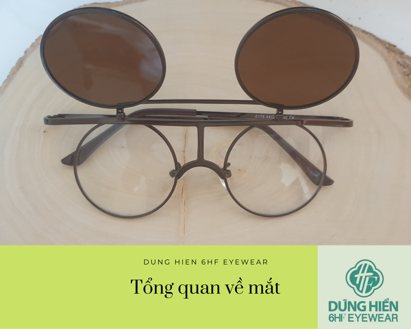 Vấn đề về mắt mà mọi người hay gặp phải
