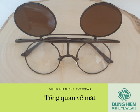 Vấn đề về mắt mà mọi người hay gặp phải