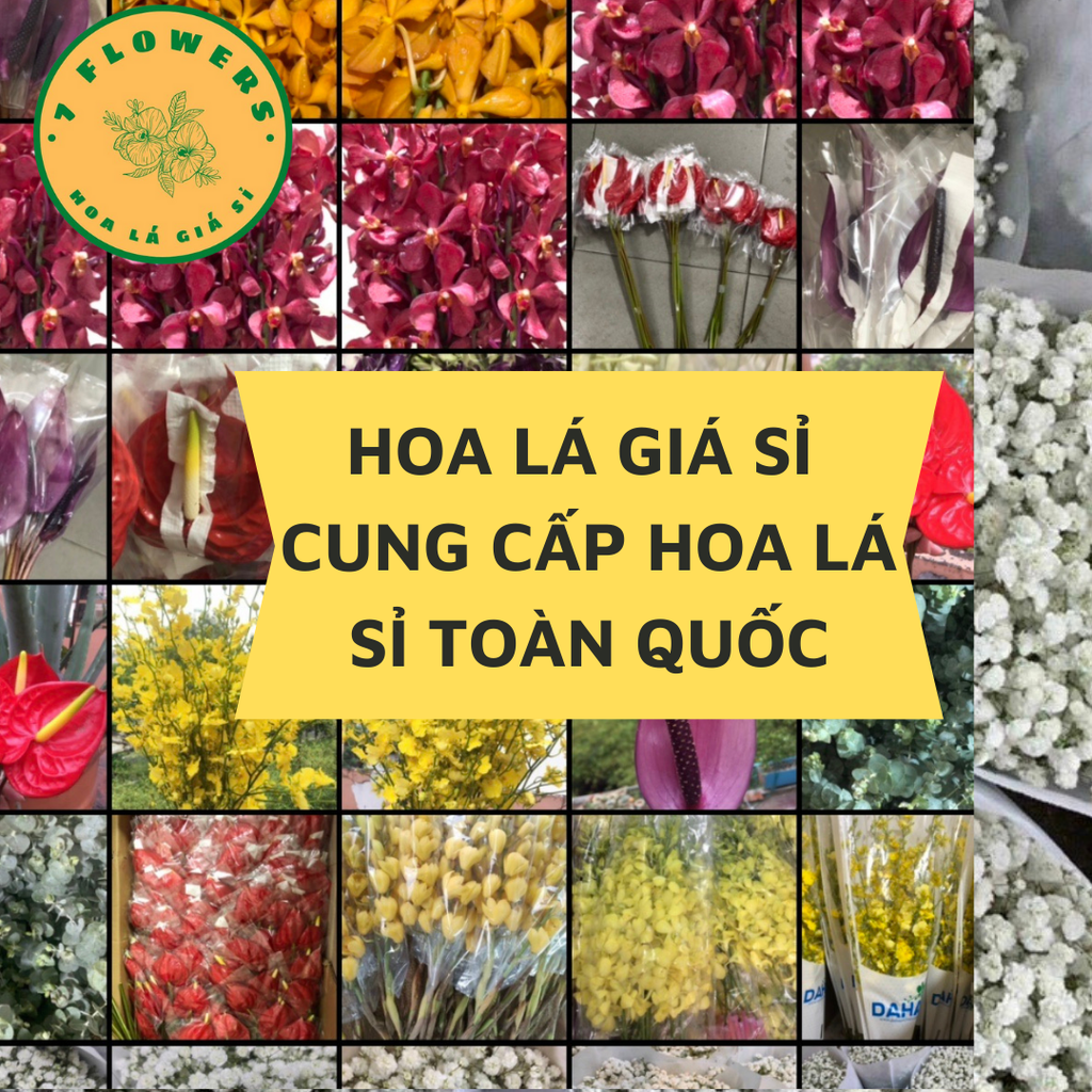 HOA SỈ NGÀY 8/3 GIAO NGAY HỒ CHÍ MINH