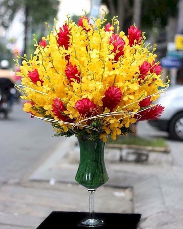 VẺ ĐẸP TIỀM ẨN CỦA HOA LAN MOKARA