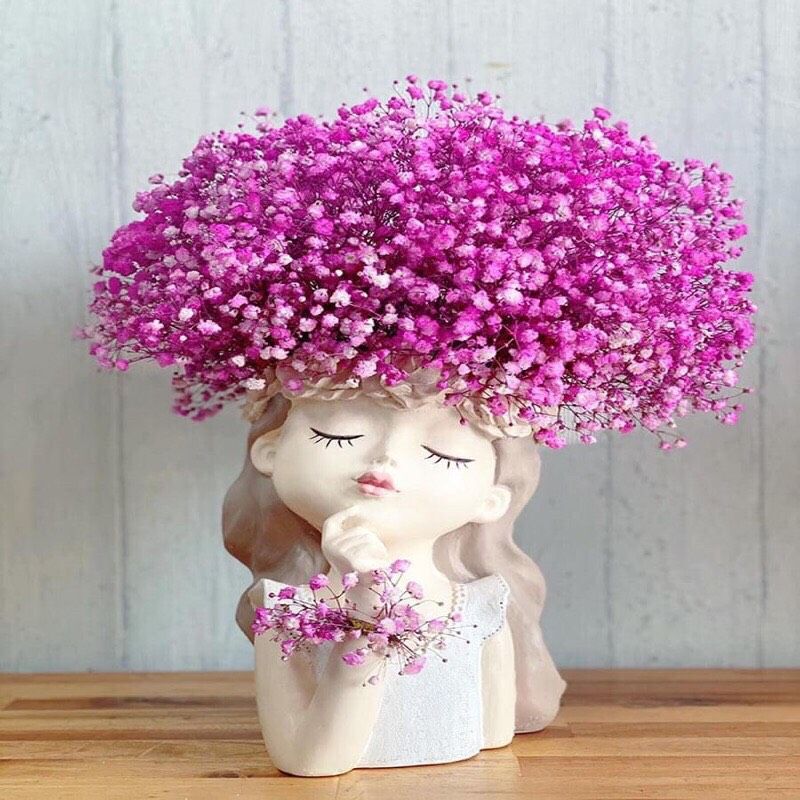 HOA BABY CÓ ĐƯỢC NHIỀU NGƯỜI CHỌN LỰA ĐỂ CHƯNG TẾT