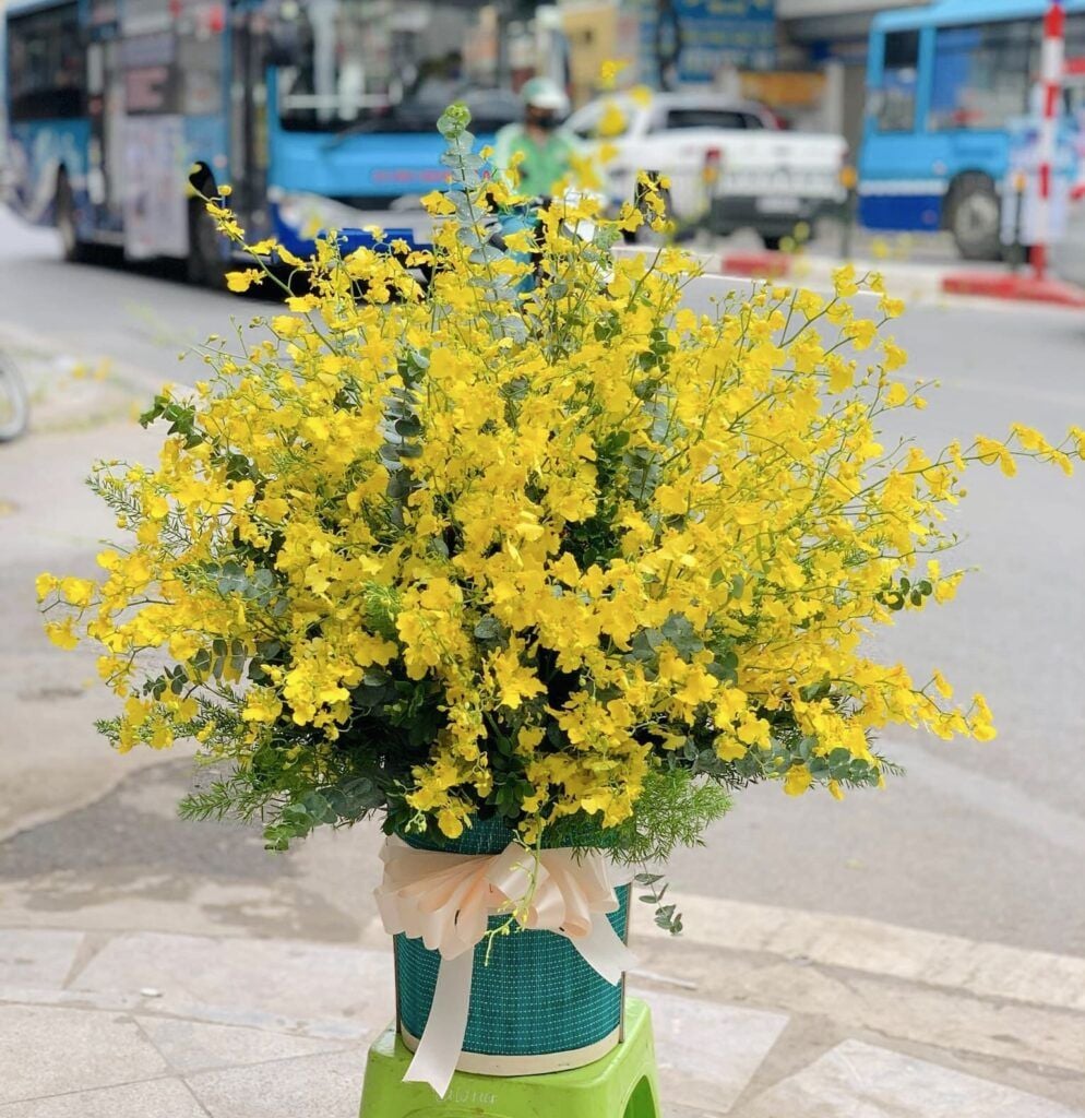 CÁCH GIÚP HOA LÁ TƯƠI LÂU KHÔNG CẦN THUỐC DƯỠNG