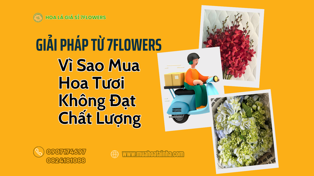 Vì Sao Mua Hoa Tươi Không Đạt Chất Lượng – Giải Pháp Từ 7FLOWERS