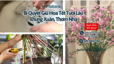 Bí Quyết Giữ Hoa Tết Tươi Lâu: Chưng Xuân, Thơm Nhà