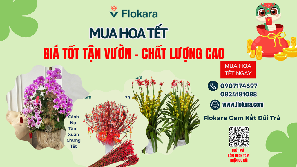 Flokara – Nguồn Hoa Lá Sỉ Ngày Tết Uy Tín Và Chất Lượng
