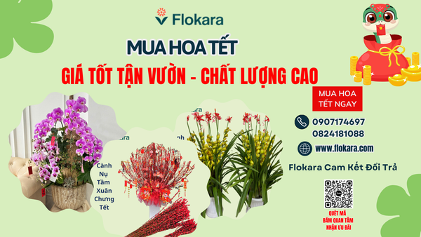 Flokara – Nguồn Hoa Lá Sỉ Ngày Tết Uy Tín Và Chất Lượng