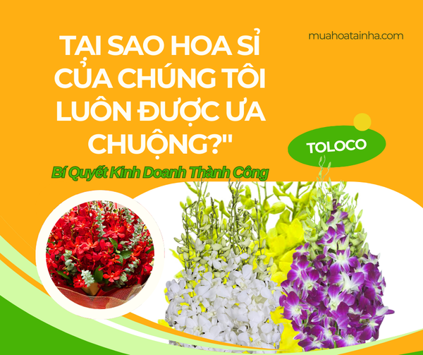 Tại Sao Hoa Sỉ Của Chúng Tôi Được Ưa Chuộng? Tìm Hiểu Ngay!