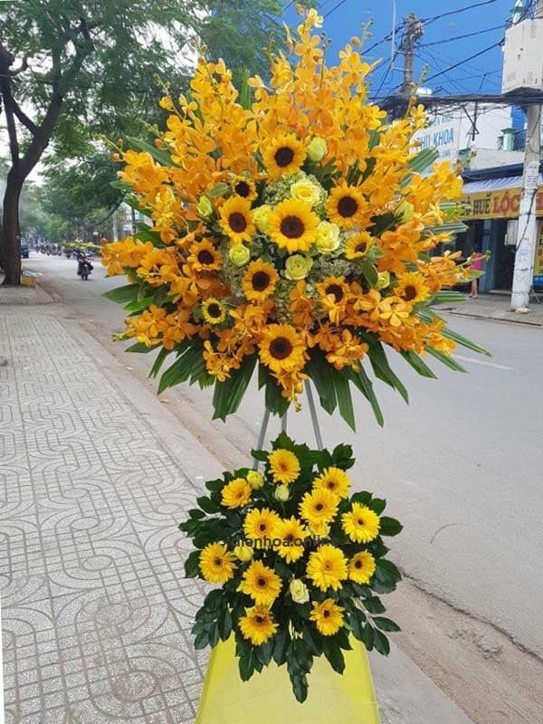 Hoa lan Mokara đang là xu hướng của hoa khai trương, bạn biết chưa?
