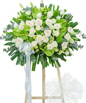 LÁ CAU TĂNG ĐỘT BIẾN VẬY CÓ DÙNG LÁ KHÁC ĐỂ THAY THẾ ĐƯỢC KHÔNG?