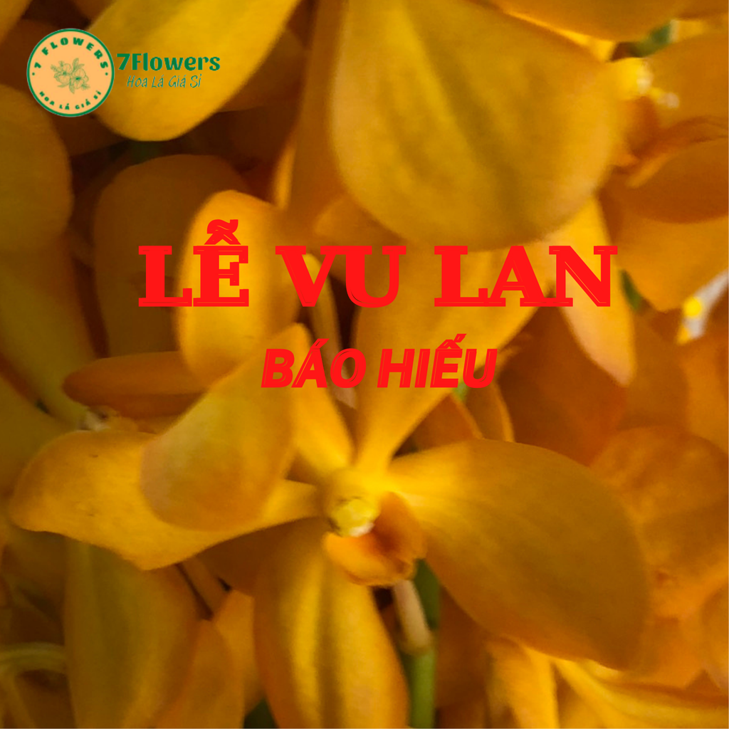 CHUẨN BỊ HOA GÌ CHO NGÀY LỄ VU LAN? MUA HOA LÁ GIÁ SỈ Ở ĐÂU CHẤT LƯỢNG?