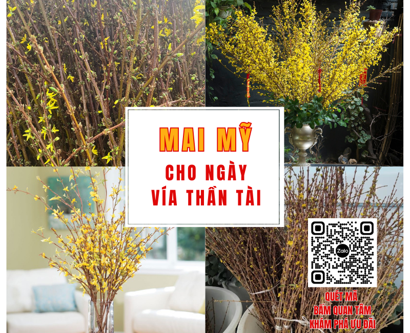 Hoa Mai Mỹ Dùng cho ngày vía thần tài được không?