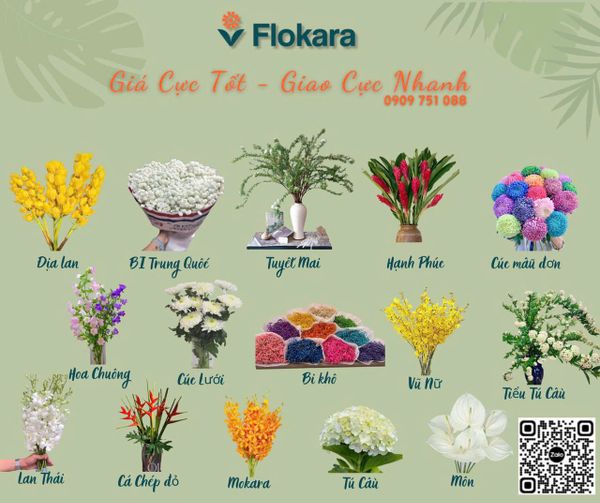 🌺 HOA SỈ LẺ NGÀY TẾT - GIÁ TỐT NHẤT TẠI FLOKARA! 🌺