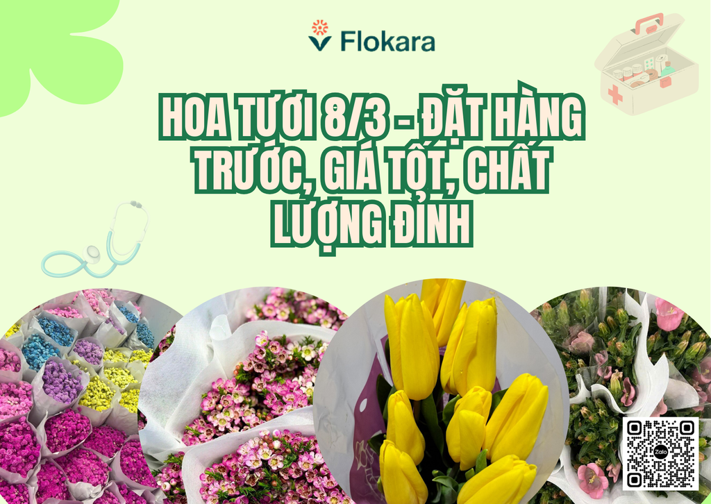 HOA TƯƠI 8/3 – ĐẶT HÀNG TRƯỚC, GIÁ TỐT, CHẤT LƯỢNG ĐỈNH