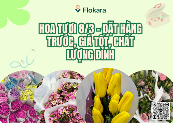 HOA TƯƠI 8/3 – ĐẶT HÀNG TRƯỚC, GIÁ TỐT, CHẤT LƯỢNG ĐỈNH
