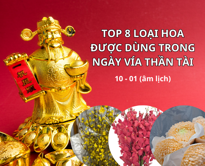 Top 8 Loại Hoa Được Ưa Chuộng Trong Ngày Vía Thần Tài