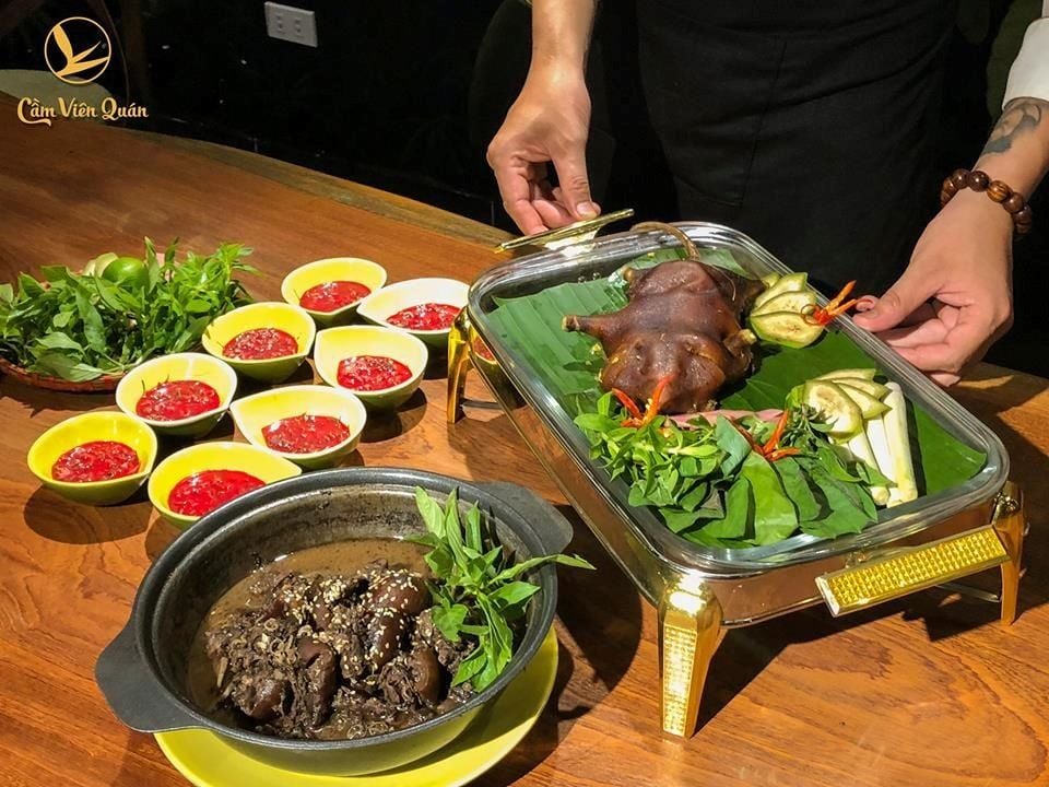 Dúi Hấp Nguyên Con – Đặc Sản Núi Rừng Tại Hà Nội