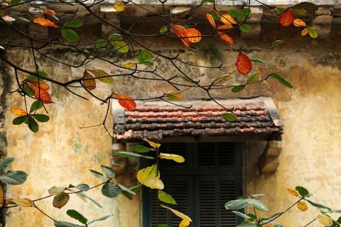 DÀNH CHO GIA ĐÌNH YÊU THƯƠNG NHỮNG ĐIỀU TUYỆT VỜI NHẤT TẠI CẦM VIÊN QUÁN!