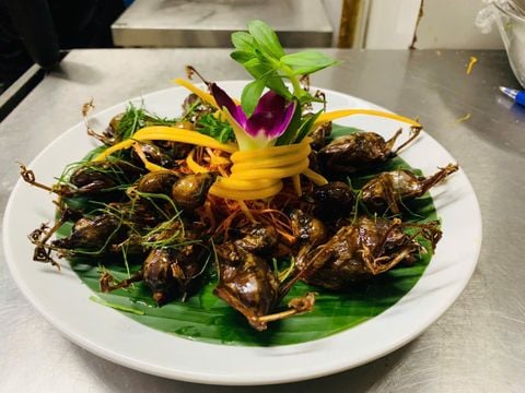 VỀ MIỀN ẨM THỰC ĐỒNG QUÊ CÙNG CẦM VIÊN QUÁN