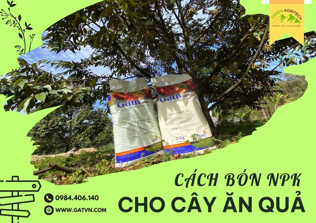 Cách bón NPK cho cây ăn quả