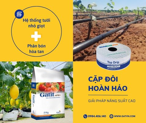 Cặp đôi hoàn hảo: hệ thống tưới nhỏ giọt + Phân bón hòa tan