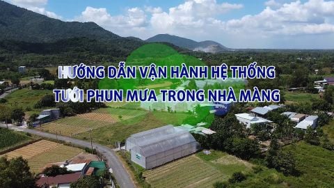 Hướng dẫn vận hành hệ thống tưới phun mưa trong nhà màng
