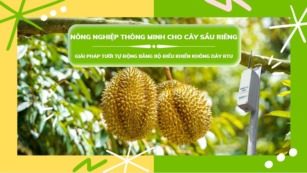 Nông nghiệp thông minh cho cây sầu riêng