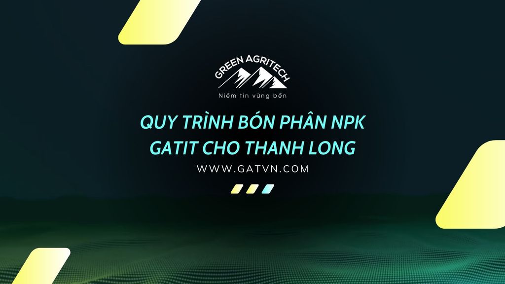 Quy trình bón phân NPK Gatit cho Thanh Long