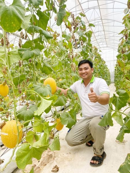 Lắp Đặt Hệ Thống Tưới Dưa Lưới: Tiết Kiệm Nước, Giảm Chi Phí