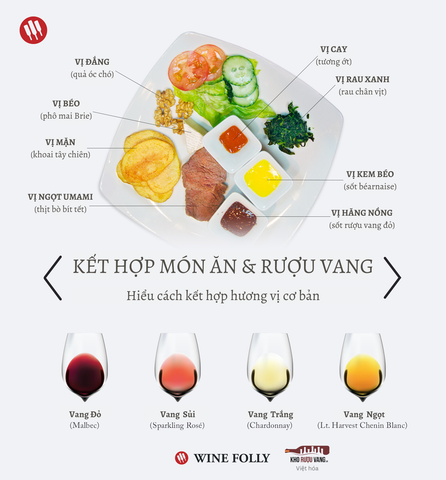 Kiến thức cơ bản về kết hợp món ăn và rượu vang