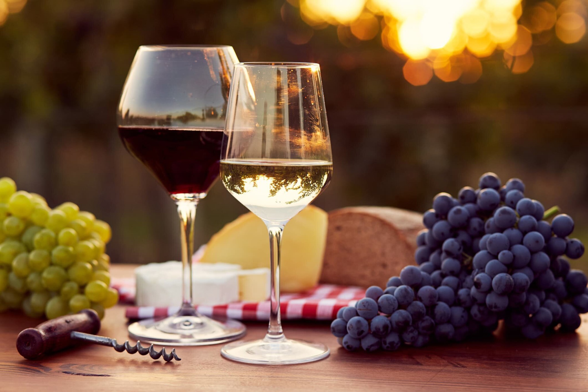 Những khác biệt thực sự giữa rượu vang đỏ và vang trắng