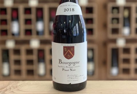 Chọn một chai rượu vang Pinot Noir chất lượng như thế nào?