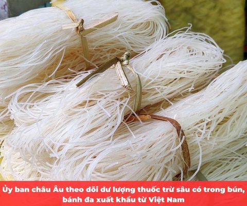 Ủy ban châu Âu theo dõi dư lượng thuốc trừ sâu có trong bún, bánh đa xuất khẩu từ Việt Nam