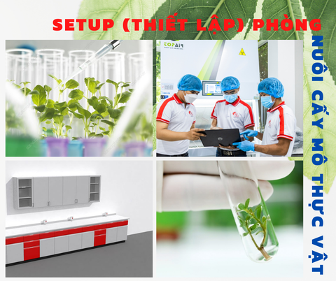 Phòng nuôi cấy mô thực vật là gì? Setup (thiết lập) phòng thí nghiệm nuôi cấy thực vật 4.0