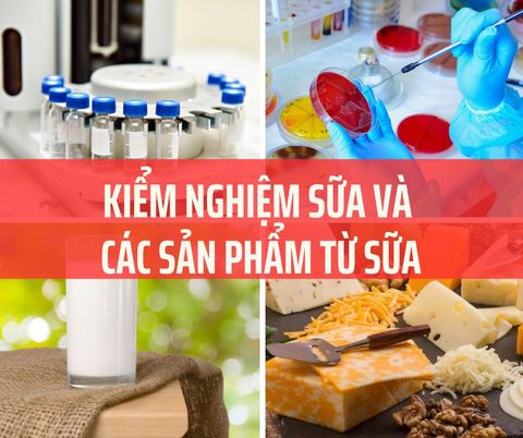 Sữa và các sản phẩm từ sữa