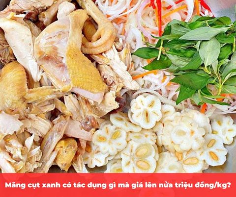 Măng cụt xanh có tác dụng gì mà giá lên nửa triệu đồng/kg?