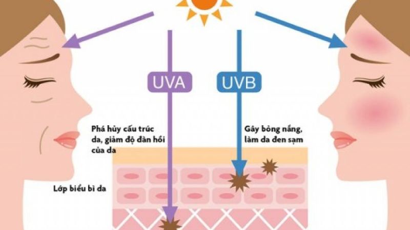 Tiếp xúc nhiều dưới ánh nắng mắt trời, làn da dễ bị đen sạm, không đều màu