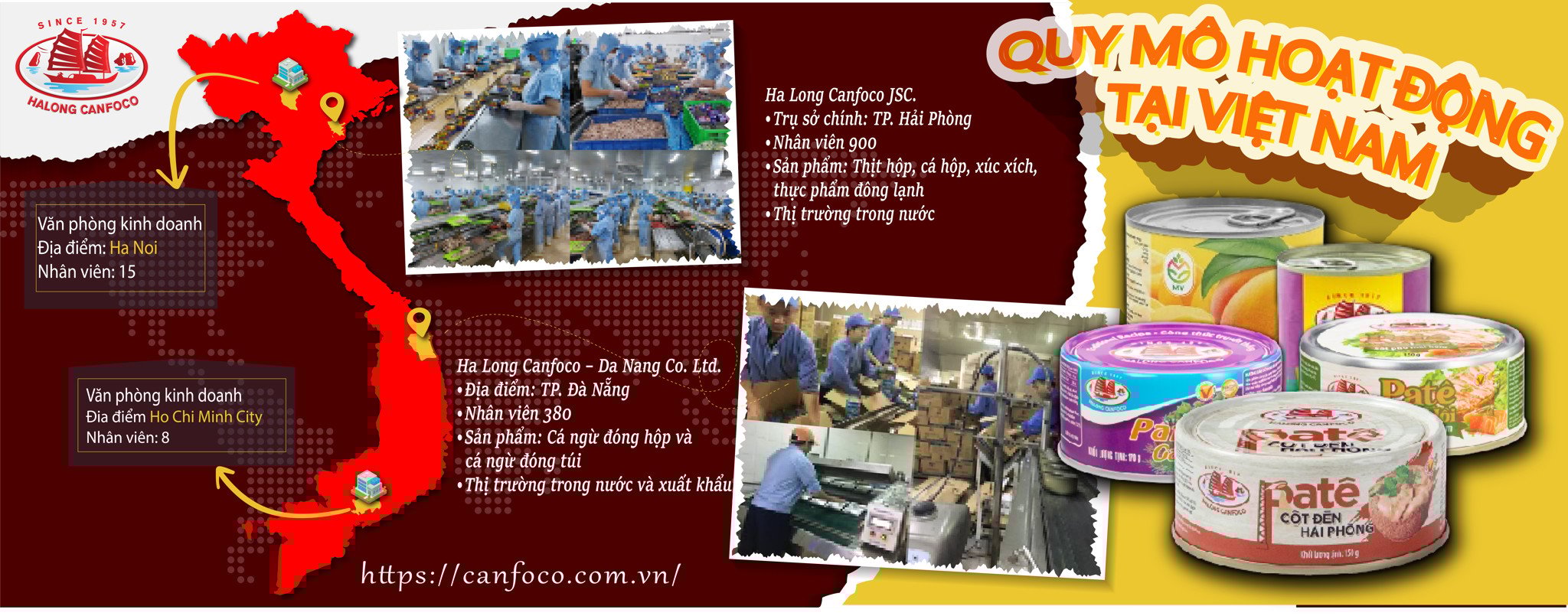 QUY MÔ HOẠT ĐỘNG CỦA HẠ LONG CANFOCO TẠI VIỆT NAM