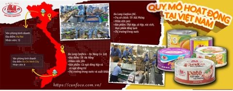 QUY MÔ HOẠT ĐỘNG CỦA HẠ LONG CANFOCO TẠI VIỆT NAM