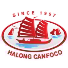 BÁO CÁO TÀI CHÍNH QUÝ I - 2025 / FINANCIAL STATEMENT Q1 - 2025