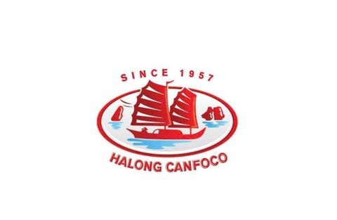 NFORMATION ANNOUNCEMENT OF THE BOM 'S RESOLUTION ON THE ESTABLISHMENT OF HA LONG CANFOCO - DONG THAP ONE MEMBER LIMITED LIABILITY COMPANY