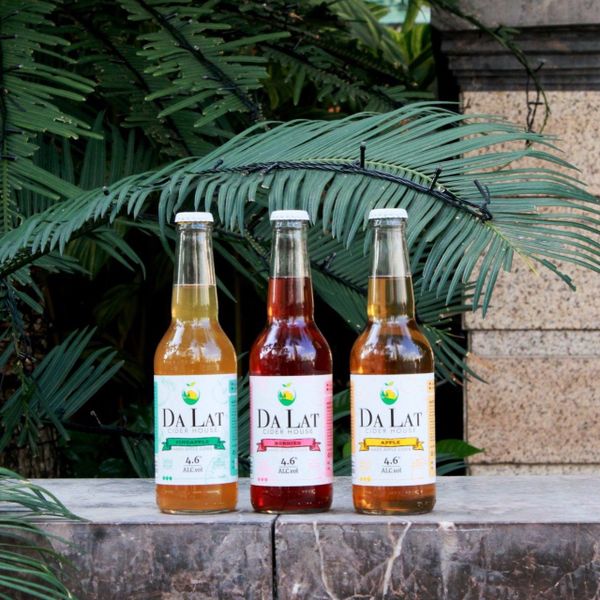 NƯỚC TÁO LÊN MEN HẢO HẠNG