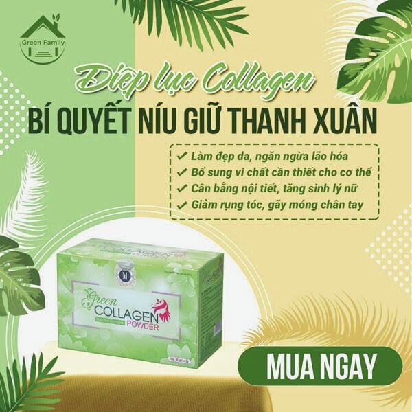 Diệp lục collagen chính hãng