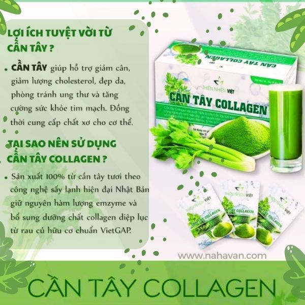 lợi ích cần tây collagen thiên nhiên việt