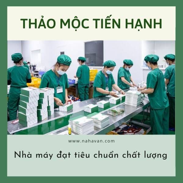 nhà máy sản xuất tiến hạnh