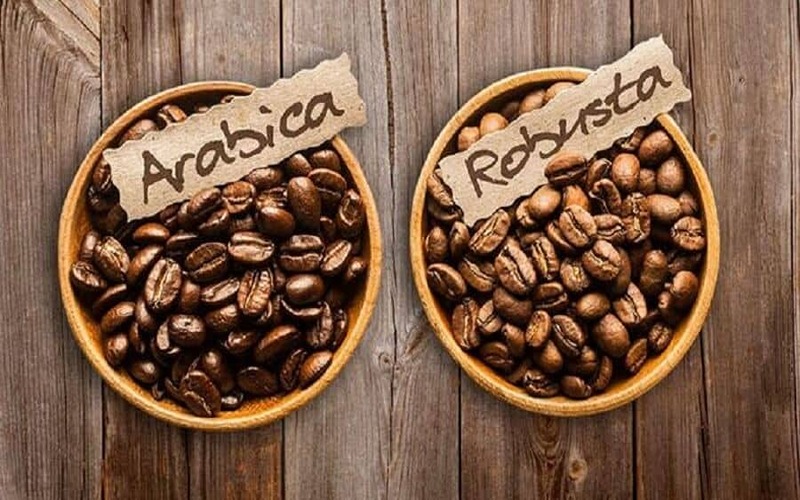 Phân biệt Arabica và Robusta - Tìm hiểu loại cà phê phù hợp với bạn