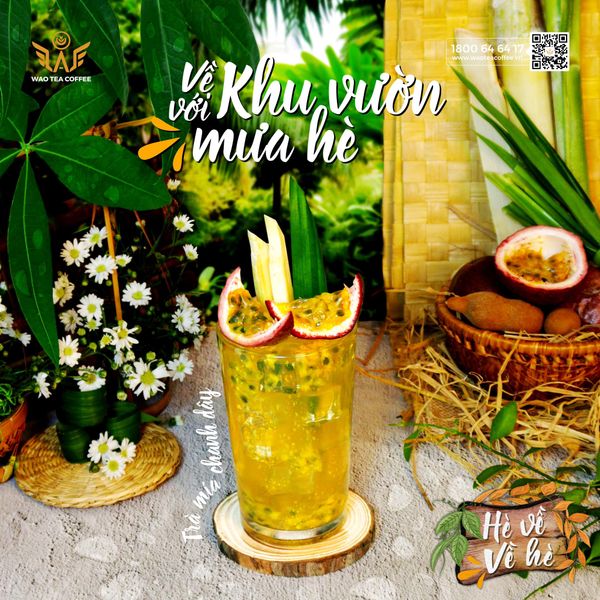 TRÀ MÍA CHANH DÂY