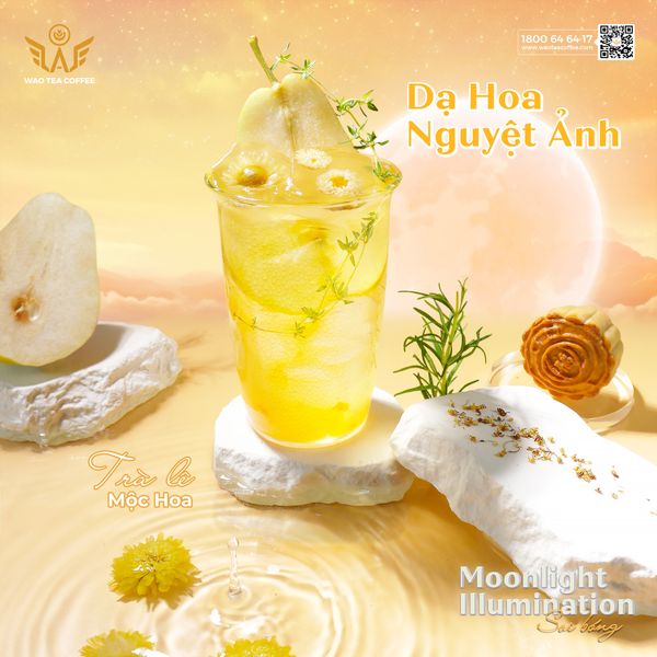 Dạ Hoa Nguyệt Ảnh